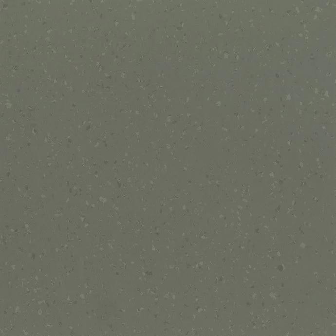Dried Tarragon 8644