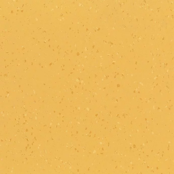 Buttered Corn 8656