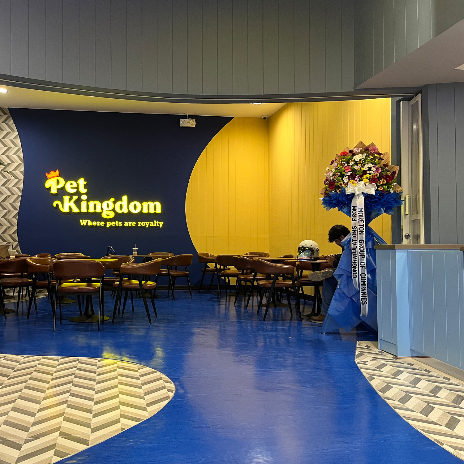 Pet Kingdom