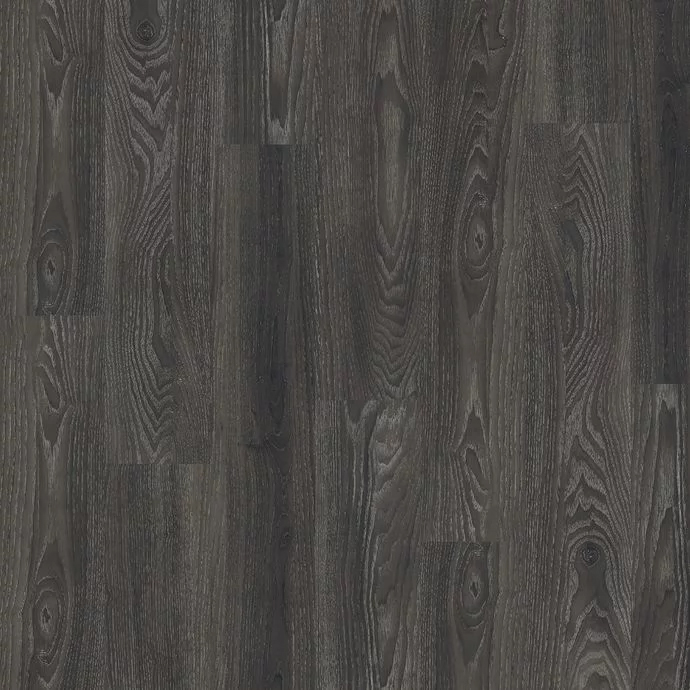 Black Elm 4035